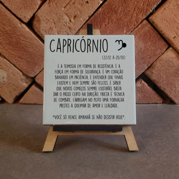 Definição de Capricórnio