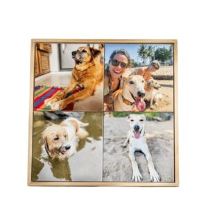 Mural Personalizado com 4 Azulejos + Moldura – 30×30