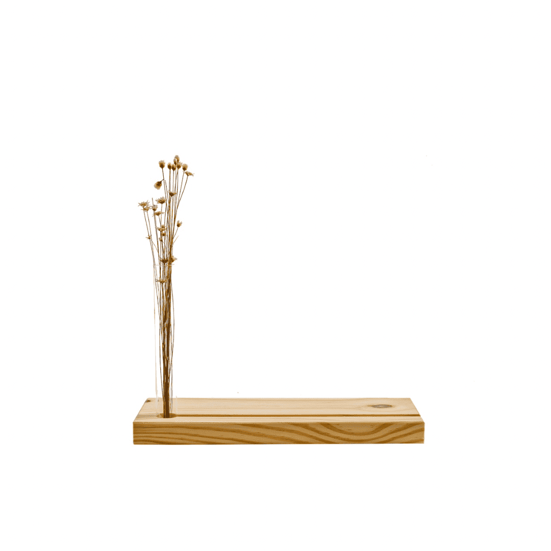 ATUALIZADO - Base Flor