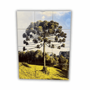 Mural Personalizado com 12 Azulejos