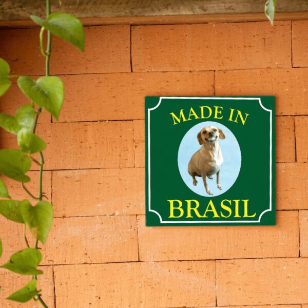 Azulejo decorativo Cachorro Caramelo Made in Brasil com moldura, pendurado na parede
