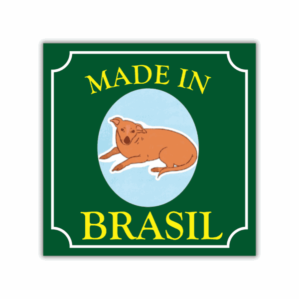 Arte do azulejo decorativo Cachorro Caramelo Made in Brasil