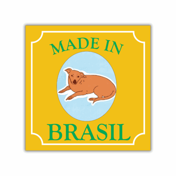 Arte do azulejo decorativo Cachorro Caramelo Made in Brasil