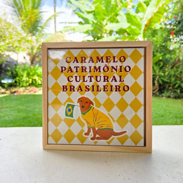 Azulejo Caramelo, Patrimônio Cultural Brasileiro, com moldura no jardim