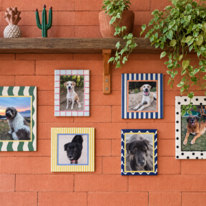 Kit 6 Azulejos Decorativos com Molduras Coloridas – Galeria de Fotos