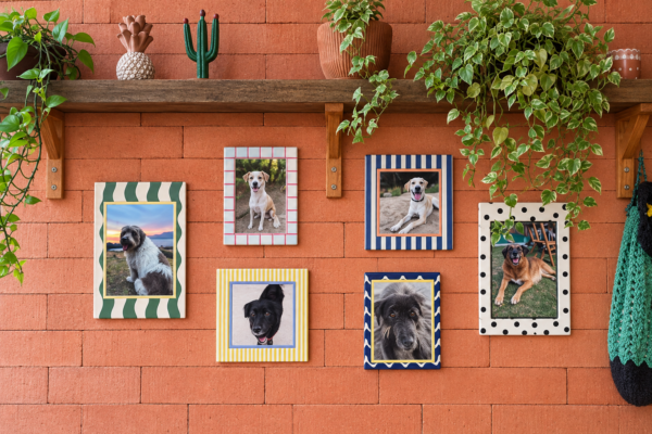 Kit 6 Azulejos Decorativos com Molduras Coloridas – Galeria de Fotos